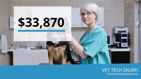 How much does a vet tech get paid. Things To Know About How much does a vet tech get paid. 